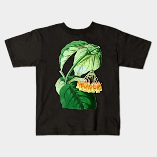 Hoya lasiantha - botanical illustration Kids T-Shirt